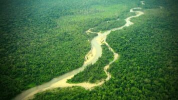 hutan-6366644-3504352-jpg