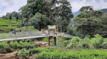 jambatan-gantung-5876344-9184040-jpeg