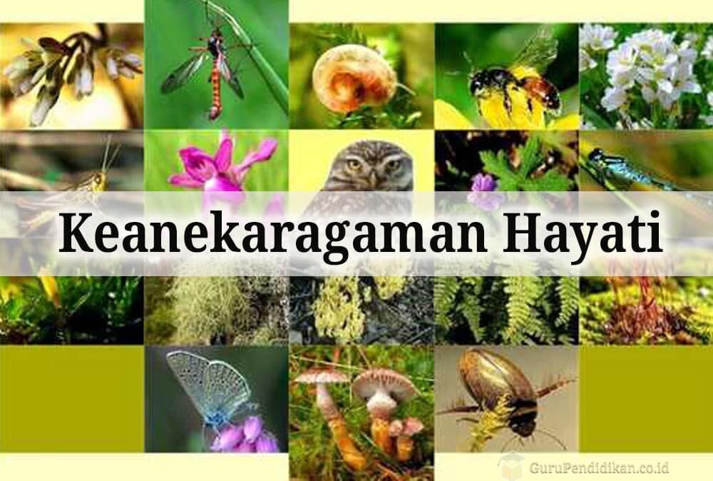 keanekaragaman-hayati-4224340