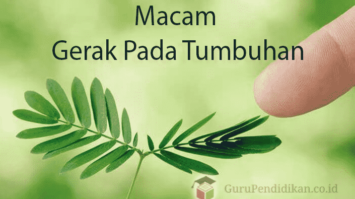 macam-gerak-tumbuhan-2793979-8683368-png