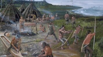 meso-2844945-8799666-jpg