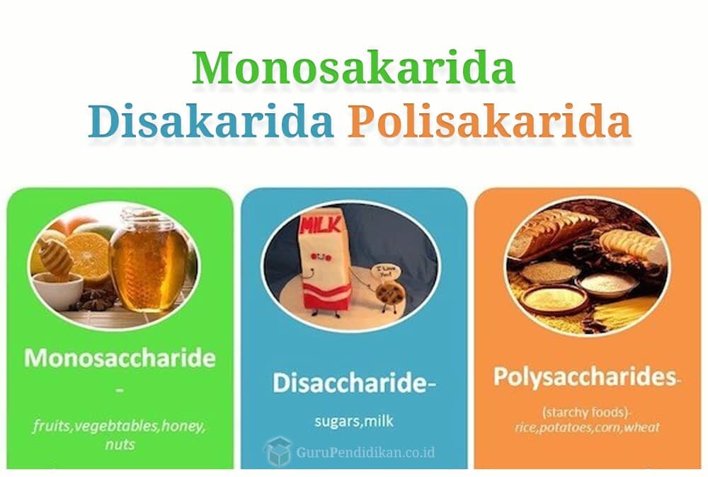 monosakarida-disakarida-dan-polisakarida-9217684