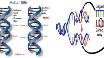 mutasi-gen-9507202-7853780-jpg