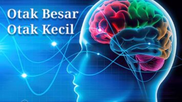 otak-besar-dan-otak-kecil-7209985-4113930-jpg