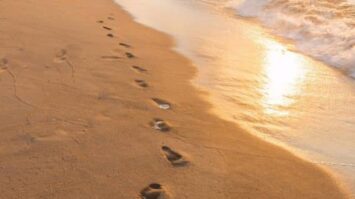 pasir-8532275-7721653-jpg