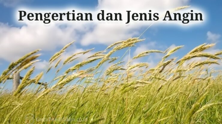 pengertian-angin-9741023-5842208-jpg