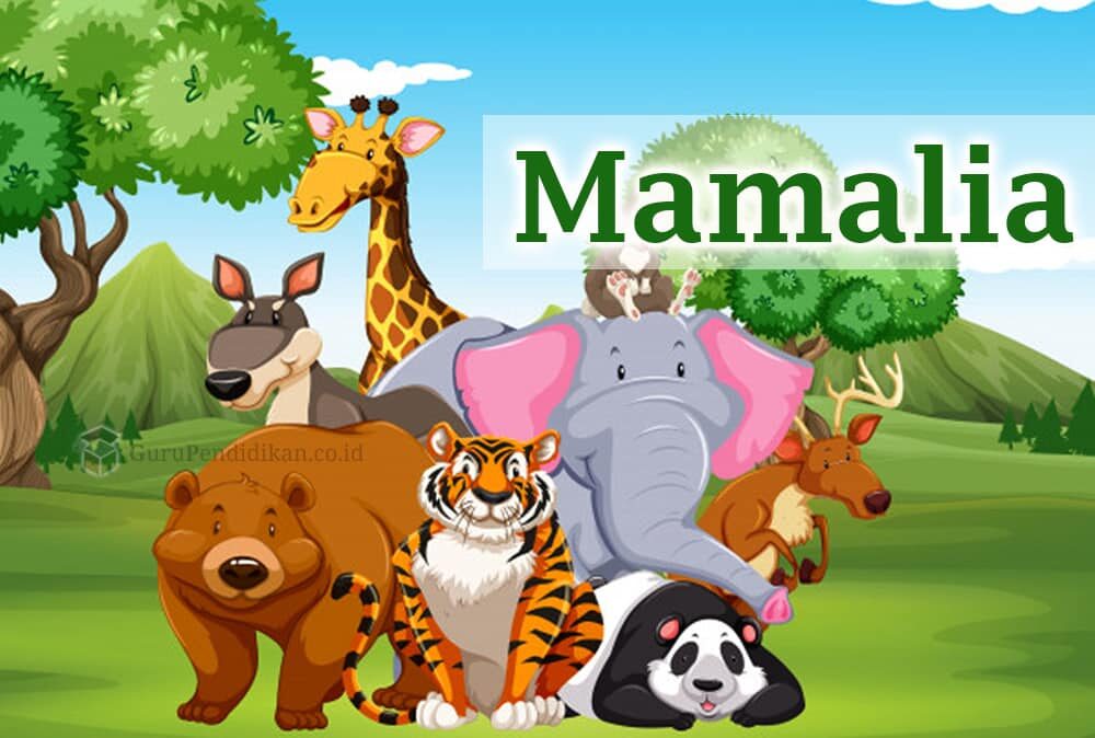 pengertian-hewan-mamalia-9955047