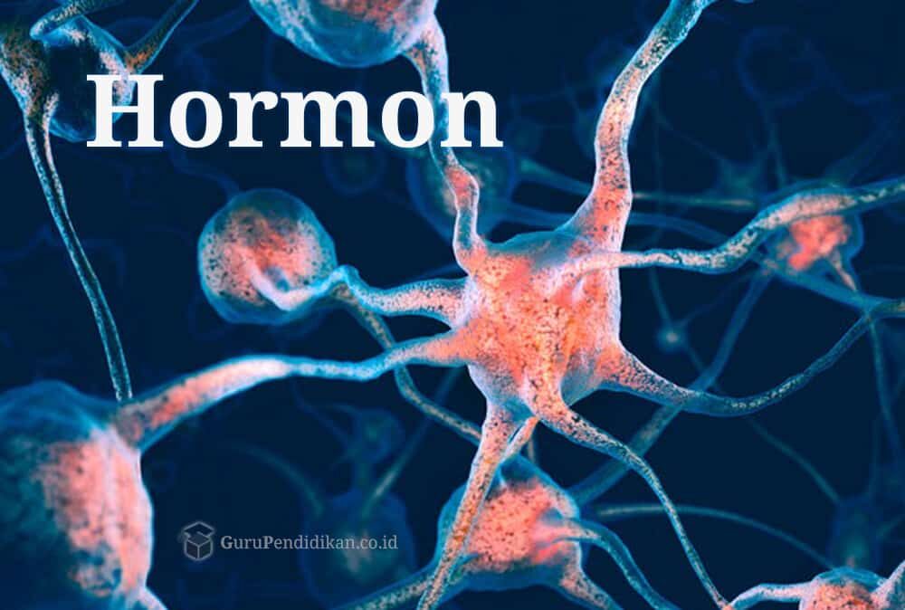 pengertian-hormon-1141932