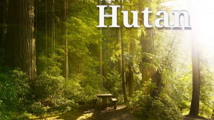 pengertian-hutan-2979717-4898988-jpg