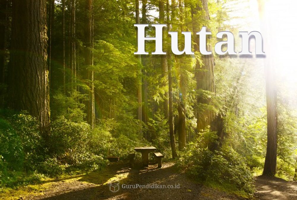 pengertian-hutan-5474945