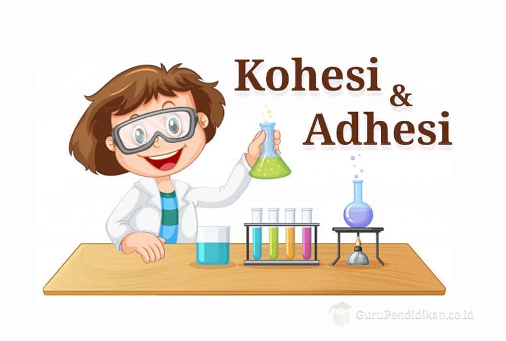 pengertian-kohesi-dan-adhesi-2430643