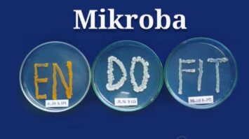 pengertian-mikroba-endofit-9320674-2089342-jpg