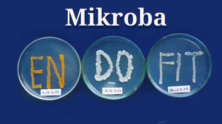 pengertian-mikroba-endofit-9320674-2089342-jpg