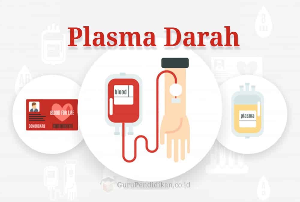 pengertian-plasma-darah-7619979