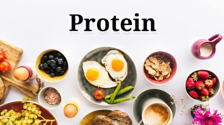 pengertian-protein-5308667-3991652-jpg
