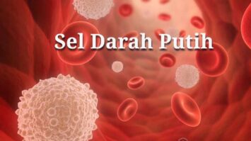 sel-darah-putih-6870164-3245681-jpg
