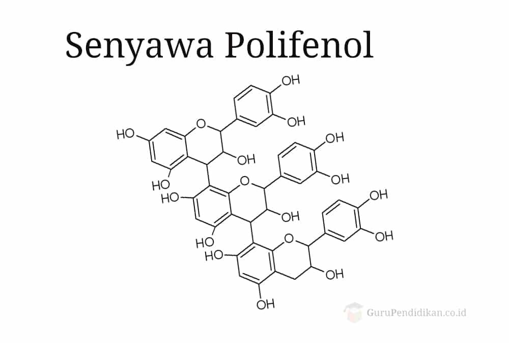 senyawa-polifenol-2437441