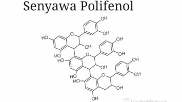 senyawa-polifenol-3903250-7584016-jpg