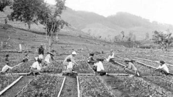 %e2%88%9a-pengertian-kehidupan-sosial-ekonomi-serta-faktor-kondisi-dan-strukturnya-8144967-7500512-jpg