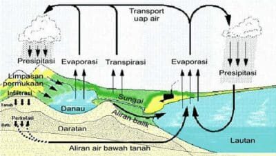 siklus-air-permukaan-9915584