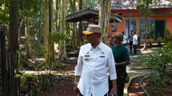 hutan-ok-4110422-7141843-jpg