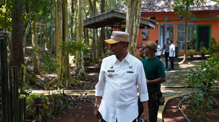 hutan-ok-4110422-7141843-jpg