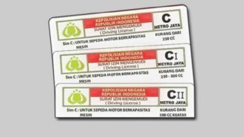 sim-c-1-2113856-8636727-jpg