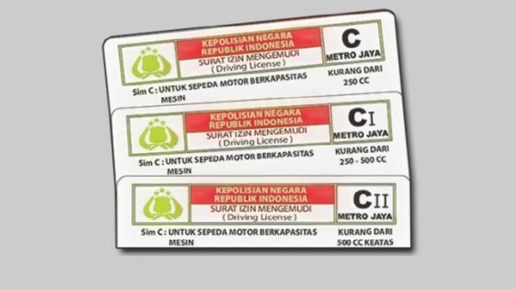 sim-c-1-2113856-8636727-jpg