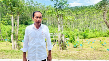 jokowi-ikn-9745987-7351268-jpg