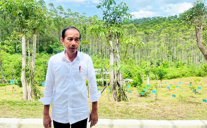 jokowi-ikn-9745987-7351268-jpg