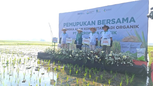 pemupukan-4216690-9942666-jpeg
