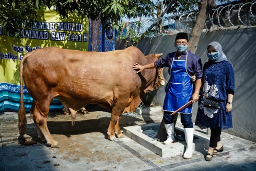 kurban-2036149-2659080-jpeg