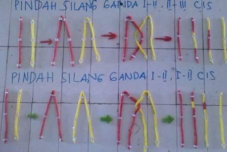 pindah-silang-1580451-5804717-jpg