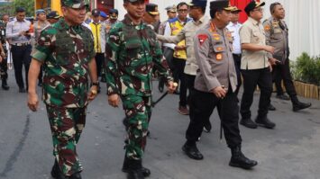 panglima-7424060-8409969-jpg
