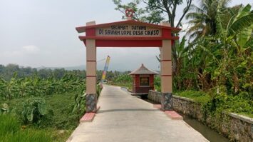 sawah-0pe-4893313-8548376-jpeg