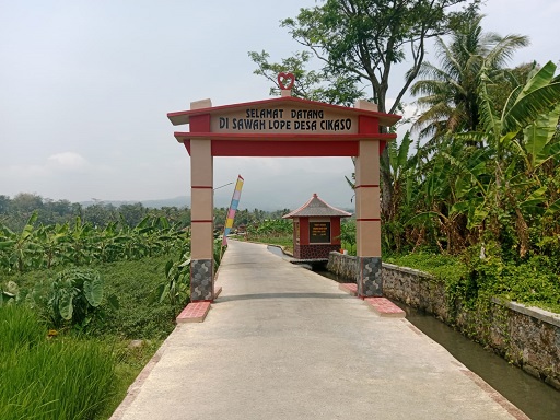 sawah-0pe-4893313-8548376-jpeg