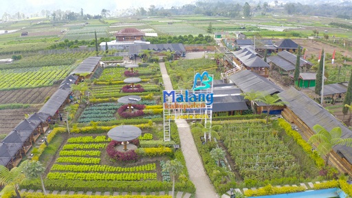 maang-8456956-7817462-jpeg