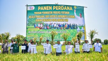 indramayu-jadi-percontohan-nasional-pengembangan-pertanian-organik-7554751-4571311-jpeg