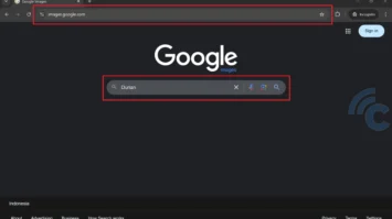 search-durian-1_-8578238-webp-2146811-webp