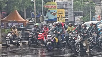 3-8978986-1118296-jpg