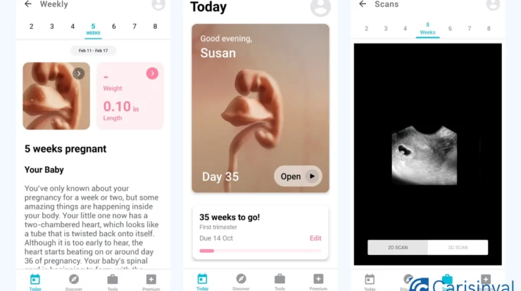 pregnancy_-1476938-webp-5551459-webp