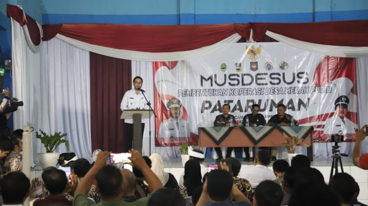 1001056625-scaled-8544192-4157099-jpg