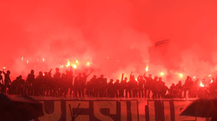 1001075263-3231451-7316832-jpg