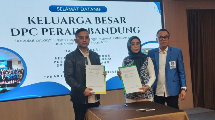 20250517_185047-2145029-6739958-jpg