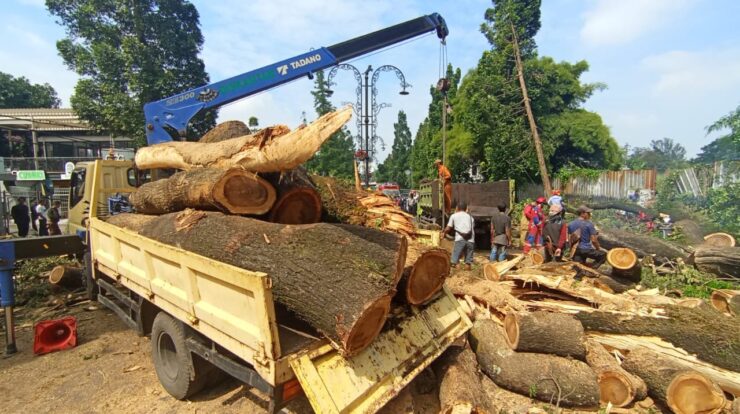 img-20250518-wa0080-6787857-7171451-jpg