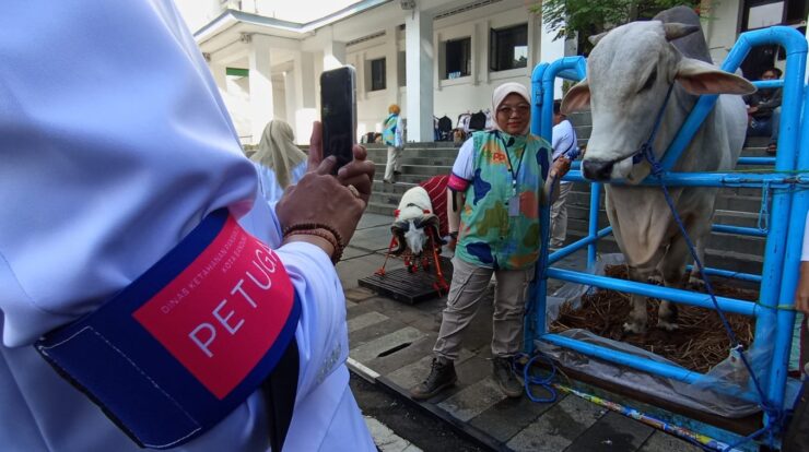 img-20250519-wa0021-6654131-2973014-jpg