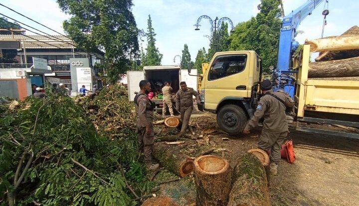 screenshot_20250518_110533_whatsapp-9520908-3172198-jpg