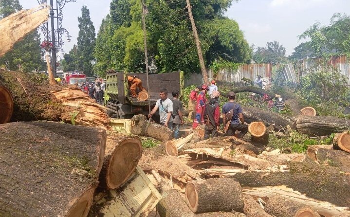 screenshot_20250518_110549_whatsapp-4295988