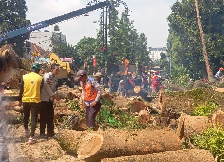 screenshot_20250518_111315_whatsapp-9317131