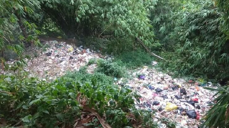 tumpukan-sampah-8789834-8509373-jpg